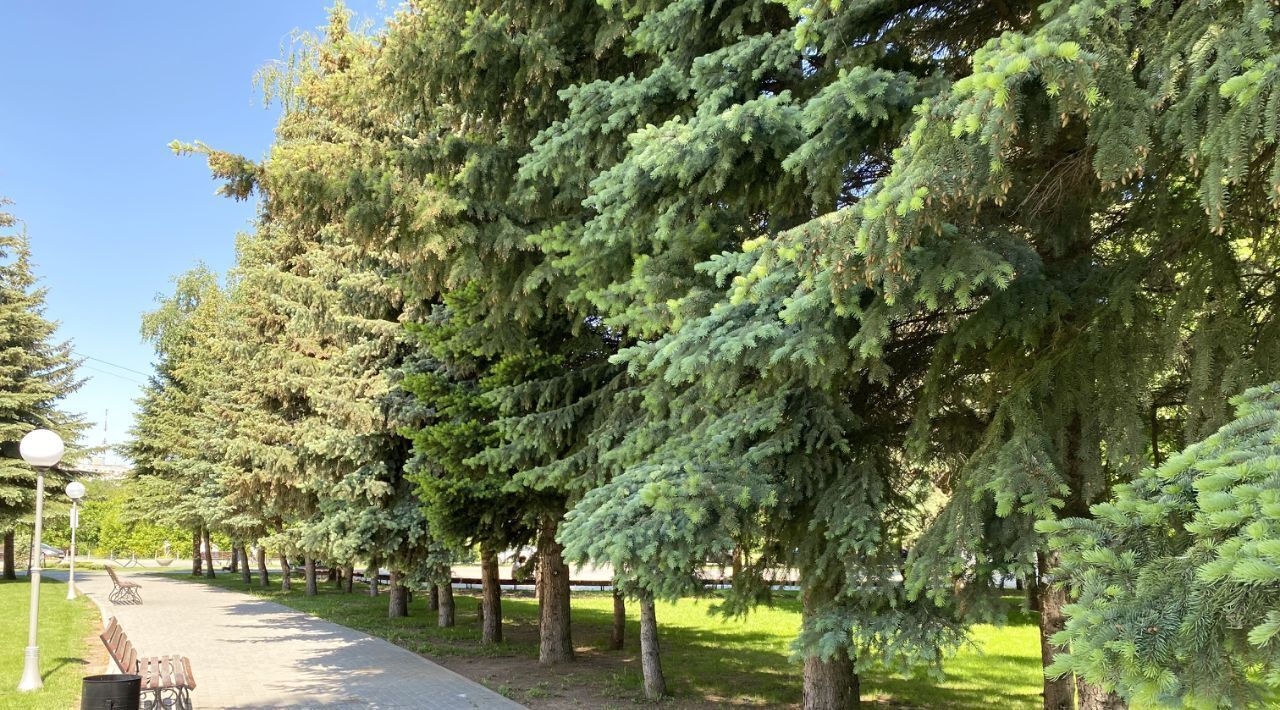 квартира г Ижевск р-н Октябрьский Центральный ул Максима Горького 157 фото 9
