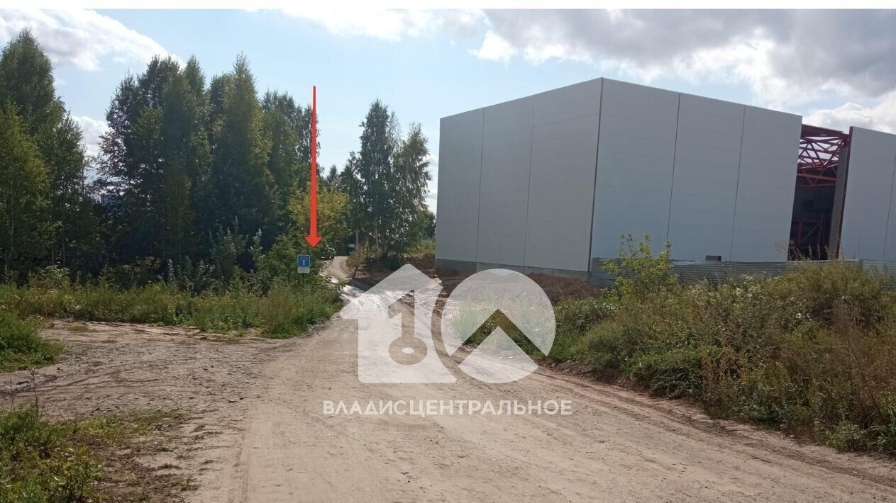 земля г Новосибирск р-н Октябрьский Золотая Нива снт Ветеран ул Центральная № 8 кв-л фото 6