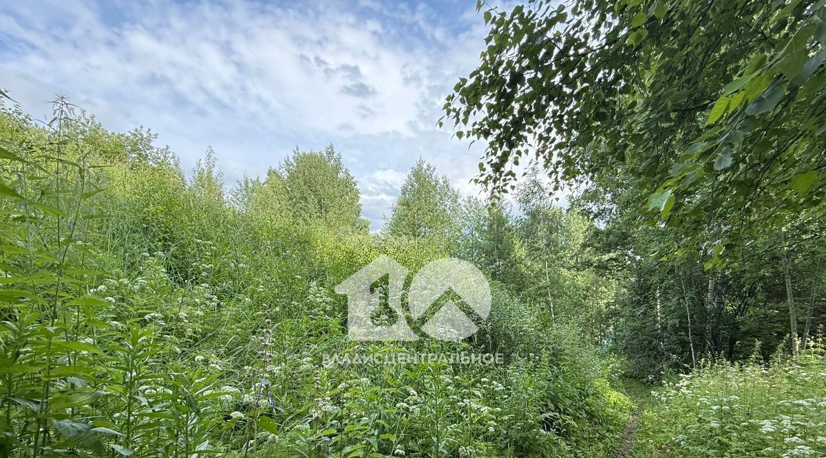 земля г Новосибирск Золотая Нива снт Ветеран ул Центральная № 8 кв-л фото 22