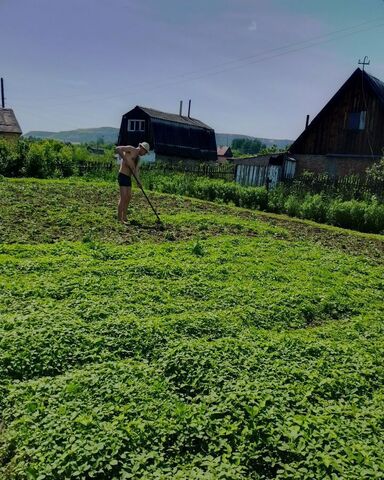 с Заречное снт Черемушки ул Береговая 1а Кемеровская обл. — Кузбасс, Старобачаты фото