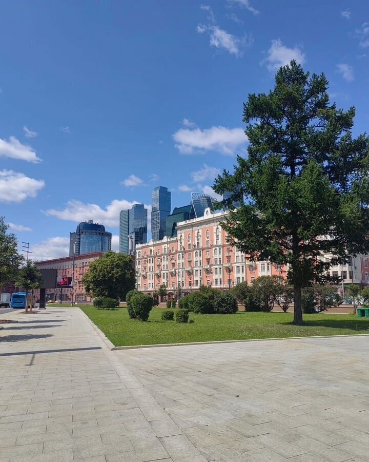 квартира г Москва метро Деловой центр пр-кт Кутузовский 14 муниципальный округ Дорогомилово фото 1