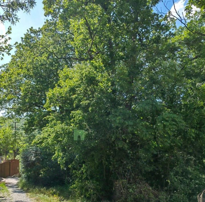 земля г Новороссийск снт Горный аул ул Радостная фото 4