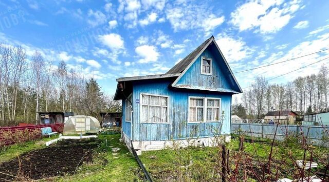 снт Рассвет-8 ул. Южная фото снт Рассвет-8 ул. Южная фото