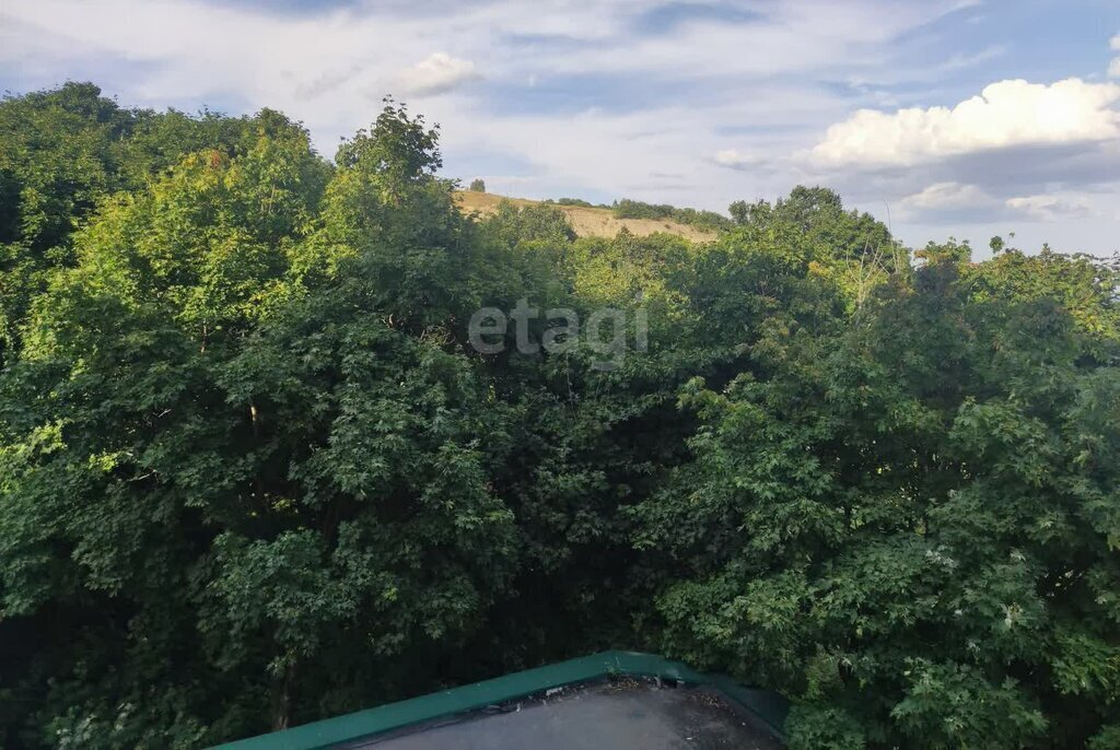 дом г Саратов ул Серебряный ручей фото 15
