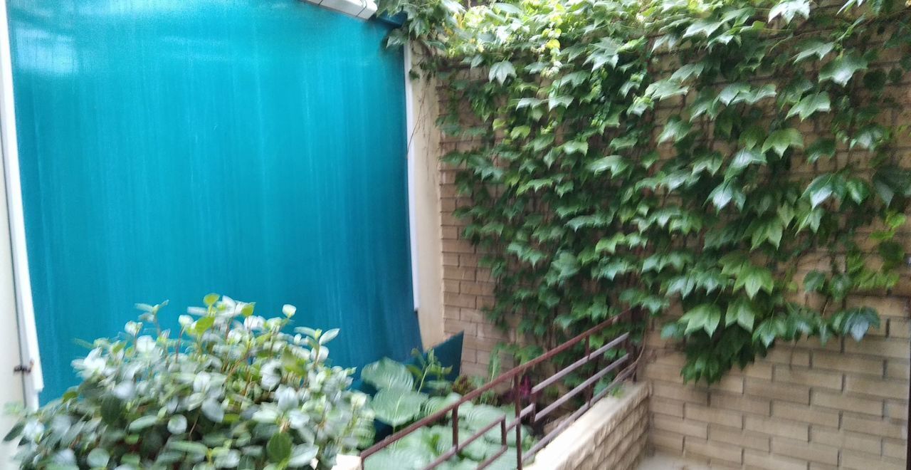 комната г Феодосия пгт Коктебель ул Жуковского 2 фото 11