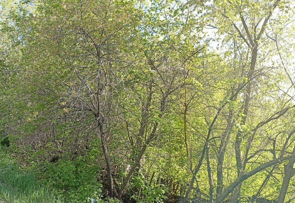 земля г Новокуйбышевск Гранный ул Гранная фото 3