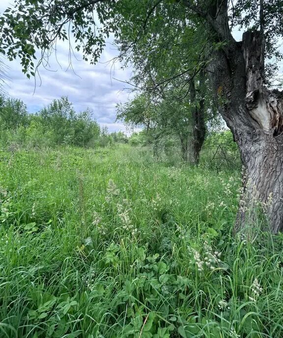 земля г Златоуст ул им Я.М.Свердлова фото 10