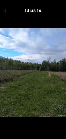 земля с. Смольки фото