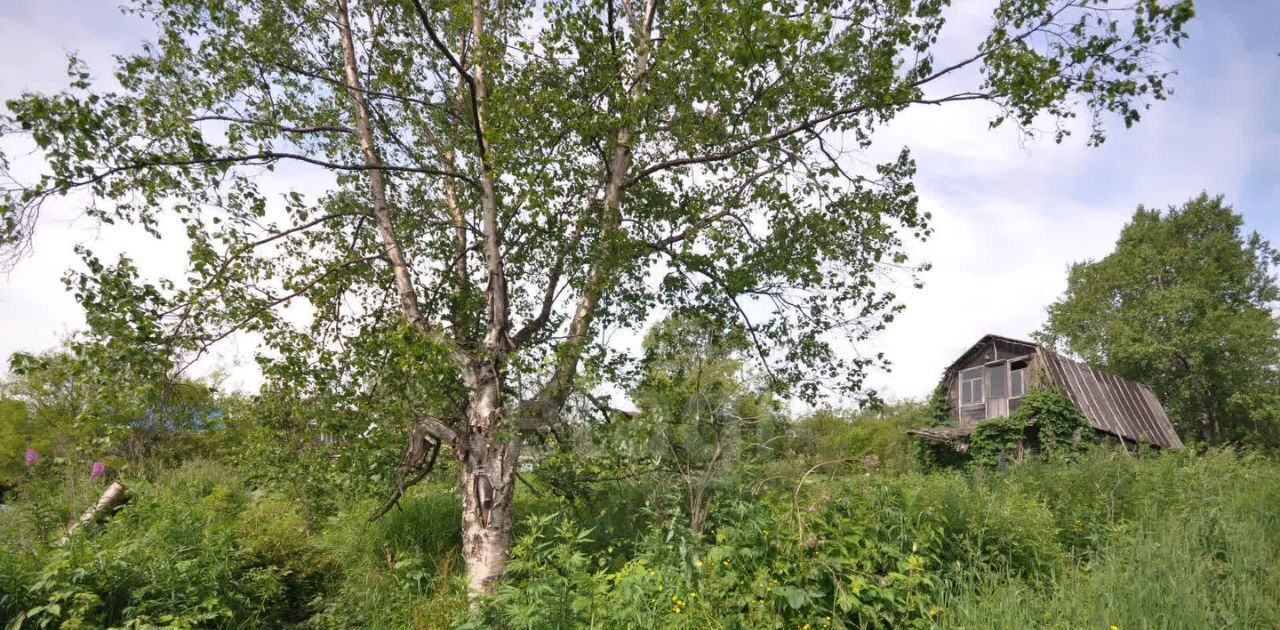 земля г Южно-Сахалинск снт Овощевод фото 7
