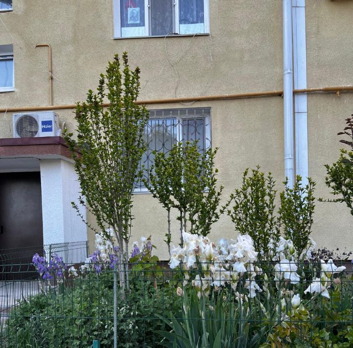квартира г Феодосия ул Строительная 11 фото 13