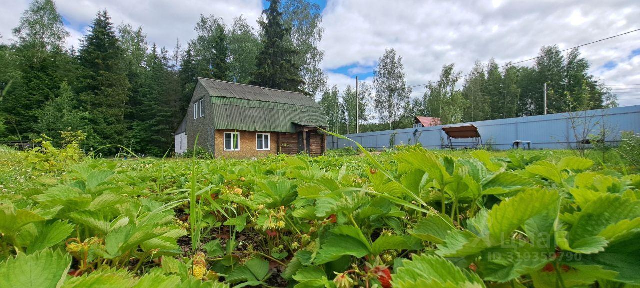 дом г Выборг Кировский ул Им А.М.Скоробогатова 3 фото 2