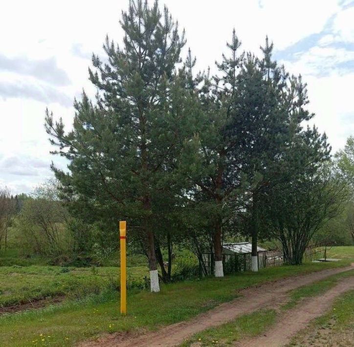 дом г Киров д Чарушины ул Живописная 7а фото 5