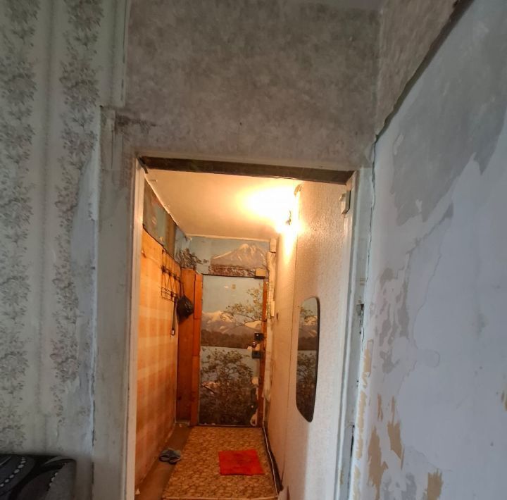 квартира г Красноярск р-н Советский Зеленая Роща ул Тельмана 18 фото 7
