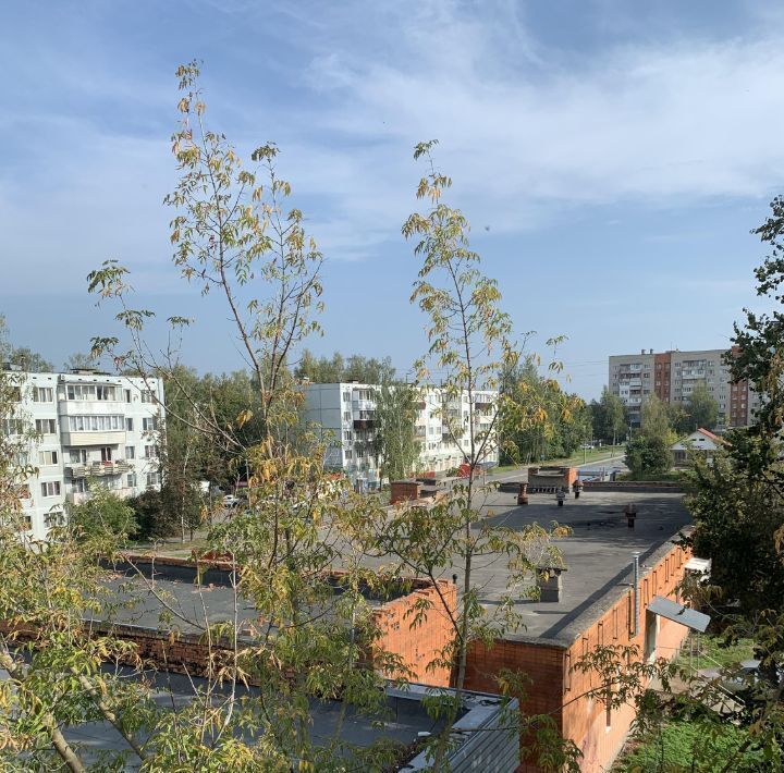 квартира г Псков ул Алтаева 3 фото 3