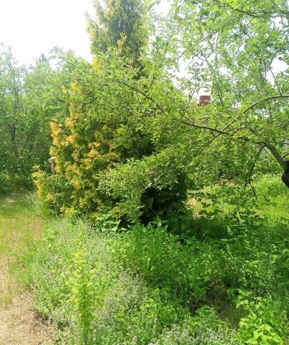дом г Волгоград снт Авиатор Ерзовское городское поселение, 1-я улица, Городищенский район фото 10