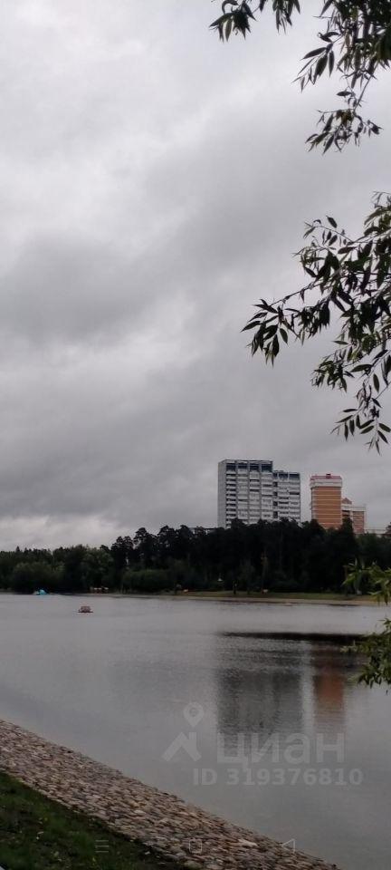 квартира г Зеленоград 10-й микрорайон Силино ЗелАО к 1012, Московская область, г Пушкино, Зеленоград фото 3