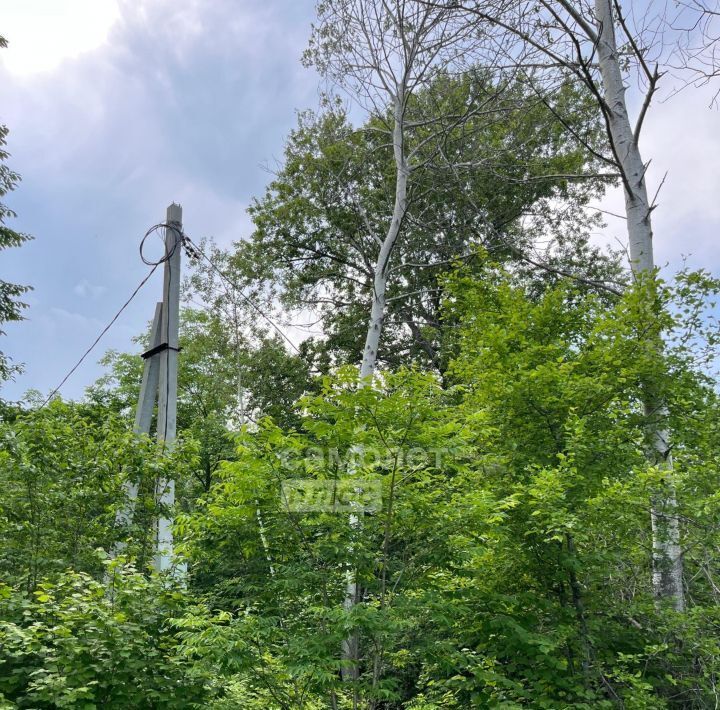 земля г Комсомольск-на-Амуре Центральный округ фото 6