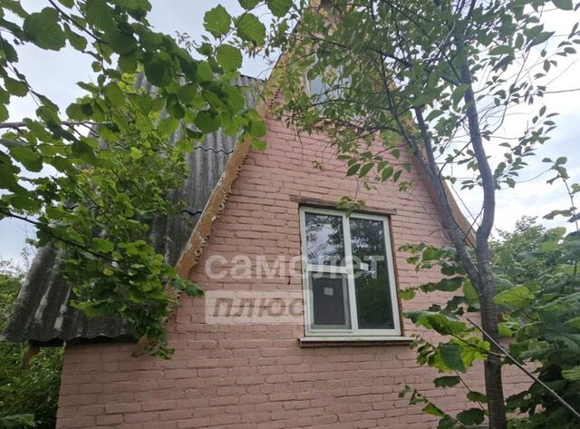 снт Родник 2 фото
