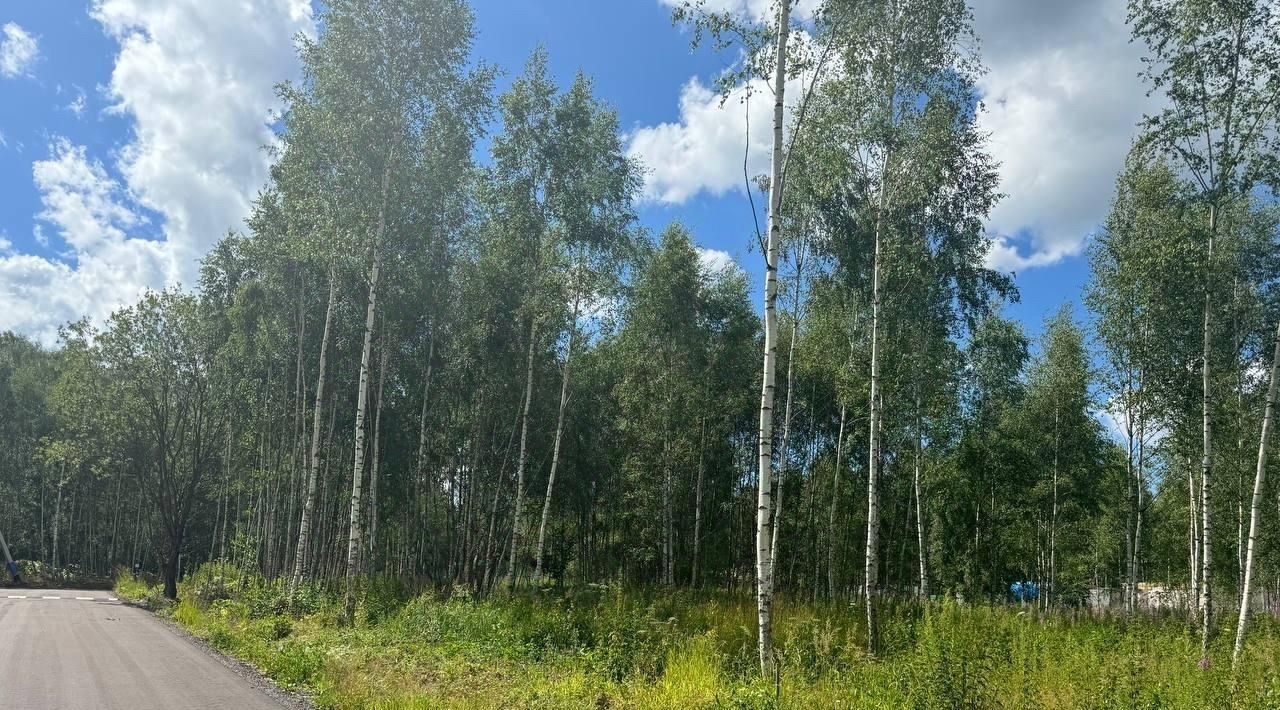 земля г Домодедово д Ивановка Лесной остров кп, 70 фото 9