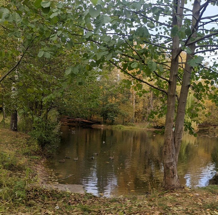 квартира г Нижний Новгород р-н Нижегородский кп, 23, Зеленый Город фото 20