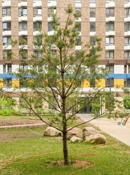 квартира г Люберцы Городок Б ул 3-е почтовое отделение 48 Жулебино фото 40