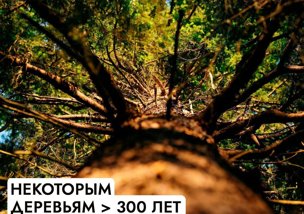 земля г Истра Павловская Слобода, 25 км, КП Гринфилд, Минское шоссе фото 10
