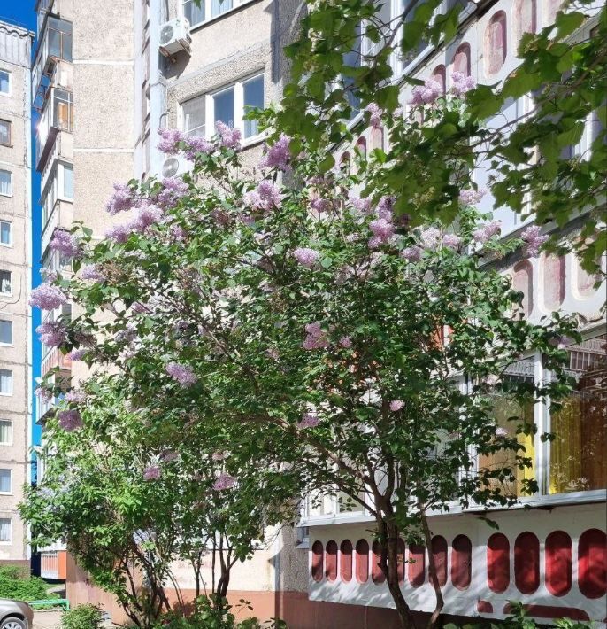 квартира г Липецк р-н Советский ул Загородная 17 фото 39