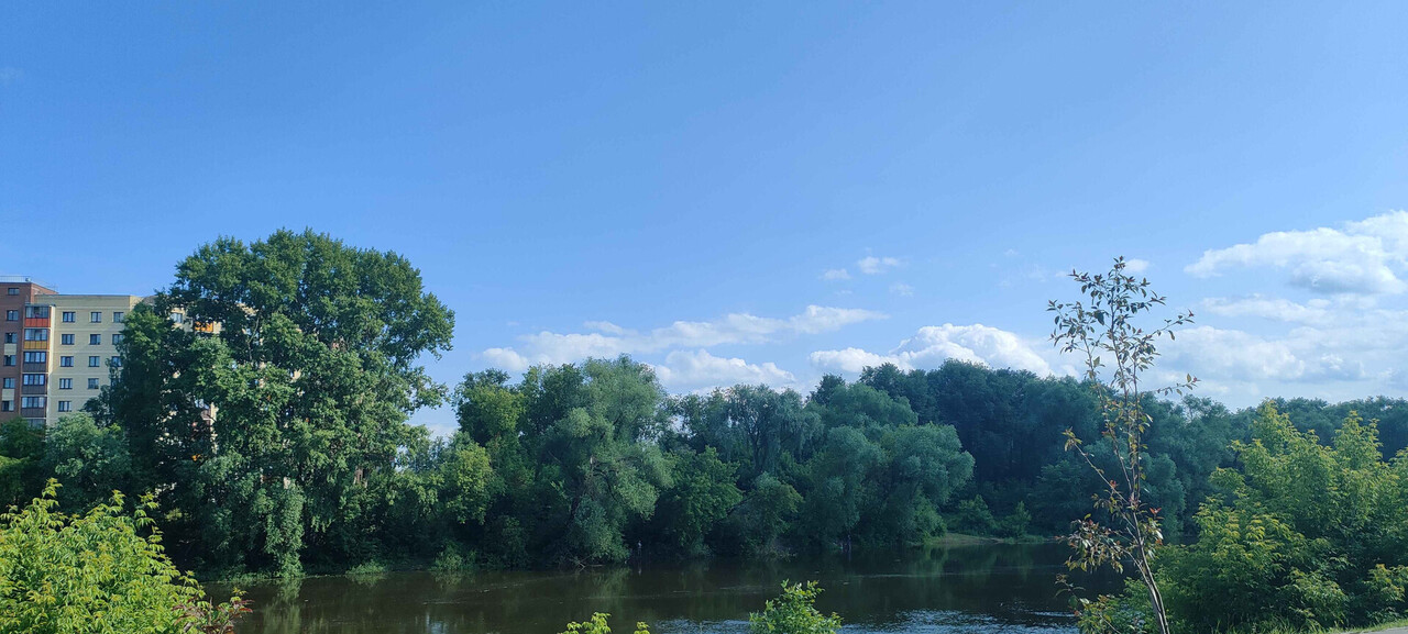 квартира г Орехово-Зуево ул Набережная 7 фото 3