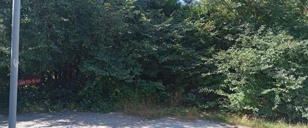 земля г Новороссийск с Васильевка ул Тельмана 3 фото 7