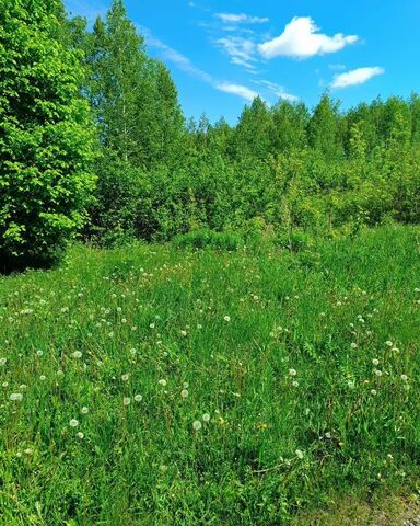 снт Связист 2 сельсовет, 306Г, Уфа, Булгаковский фото