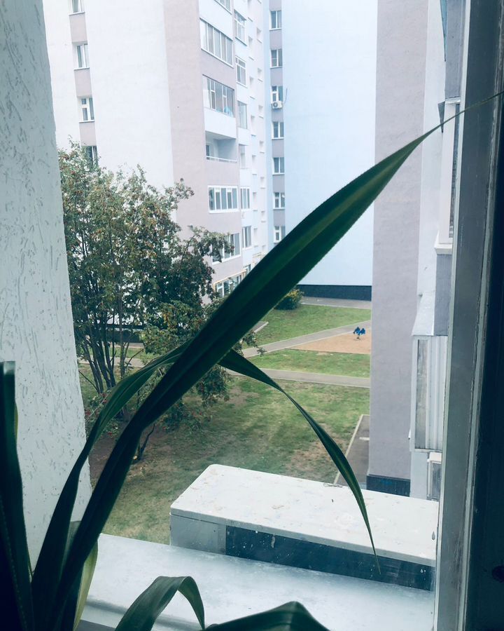 квартира р-н Нижнекамский г Нижнекамск ул Бызова 22а муниципальное образование Нижнекамск фото 2