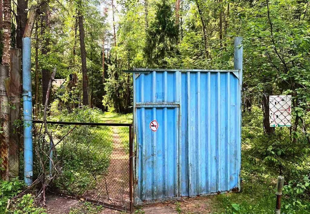 земля г Бор садоводческое некоммерческое товарищество Зелёный Бор фото 3