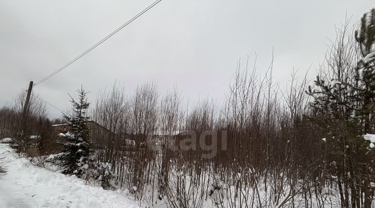 земля г Сыктывкар снт тер ЧовскоеЧовские зори Човское тер. фото 1