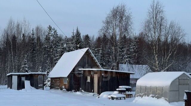 Аленушка СНТ, 66 фото