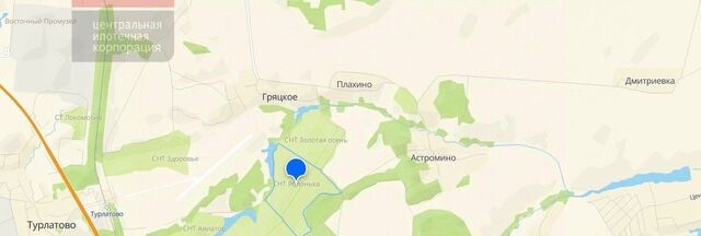 Турлатовское с/пос, садоводческое товарищество, 2-я линия, 51, Яблонька фото