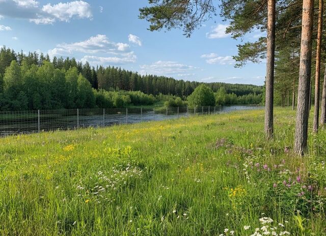пер Первомайский 75 км, Рузский округ, Минское шоссе фото