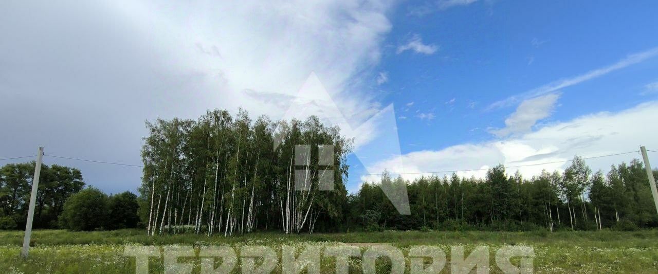 квартира г Кострома ул Радиозаводская 54 фото 20
