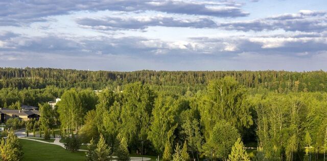 Кристал Истра кп, Нахабино фото
