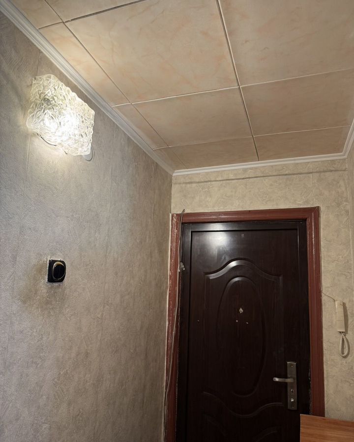 квартира г Воронеж р-н Советский ул Домостроителей 41 фото 12