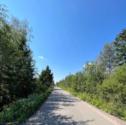 снт Фотон Мгинское городское поселение, аллея Березовая, 99 фото снт Фотон Мгинское городское поселение, аллея Березовая, 99 фото