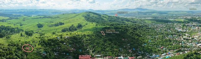 снт Электросигнал фото