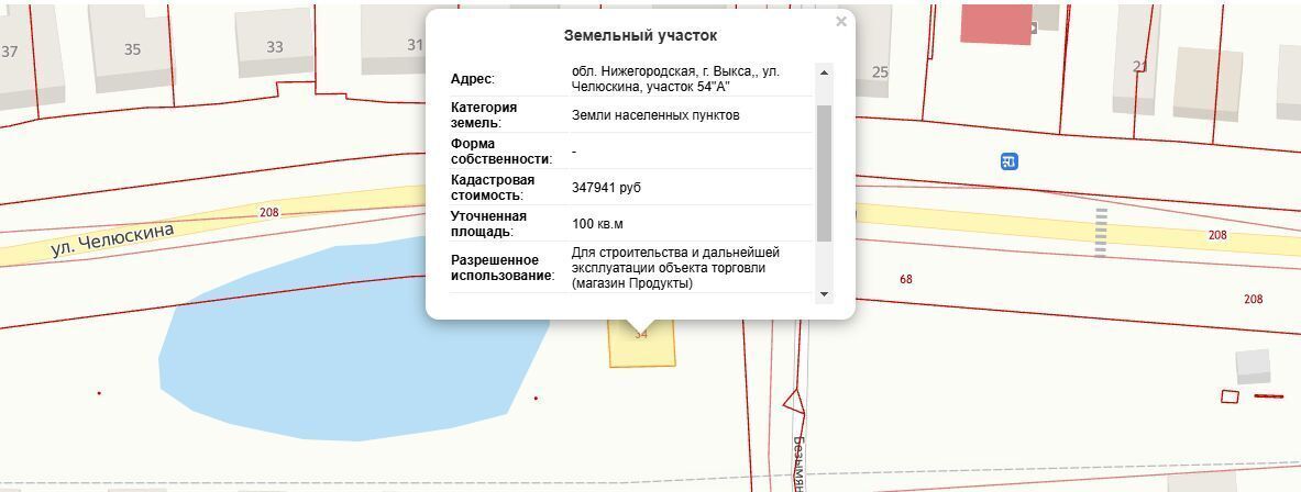 офис г Выкса ул Челюскина фото 2