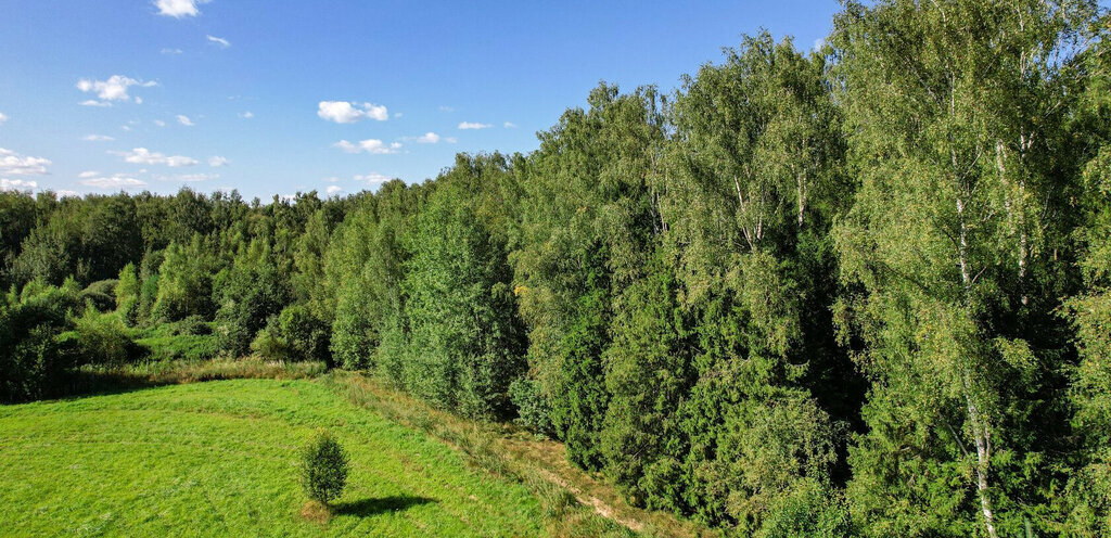 земля г Мытищи КП Юрьево парк фото 4