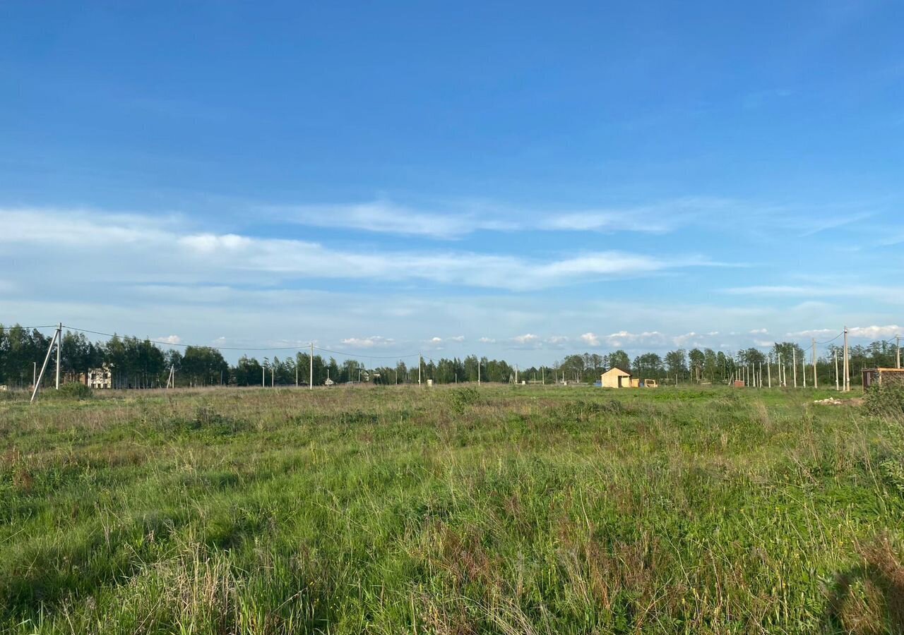 земля г Электросталь п Новые дома 39 км, Носовихинское шоссе фото 4