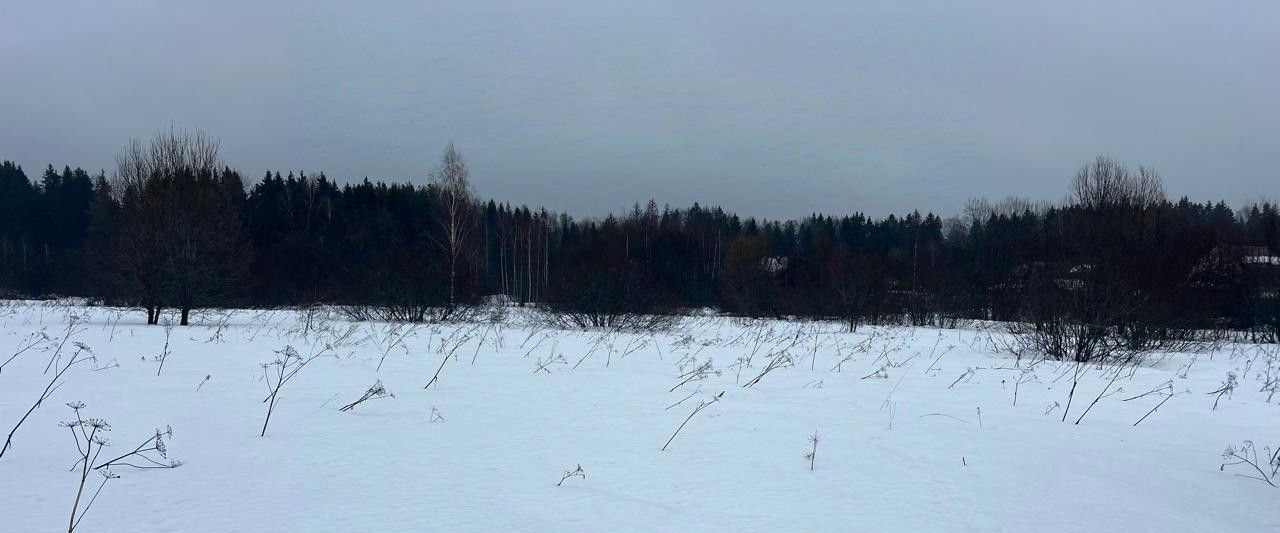 земля г Истра ул Ленина Река Истра, Нахабино фото 1