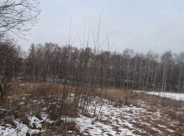 Коломна городской округ, с. Редькино фото