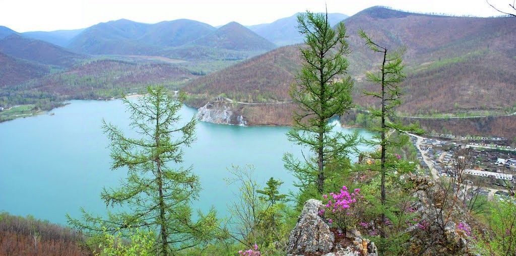 квартира г Дальнегорск 8 фото 8