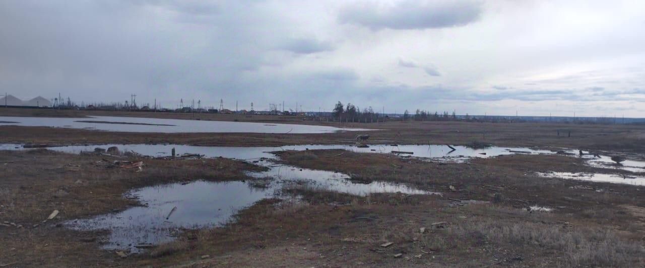 земля г Якутск с Тулагино фото 3
