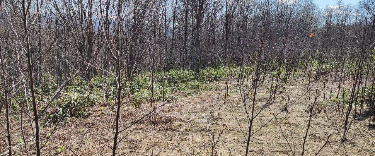 земля г Южно-Сахалинск фото 13