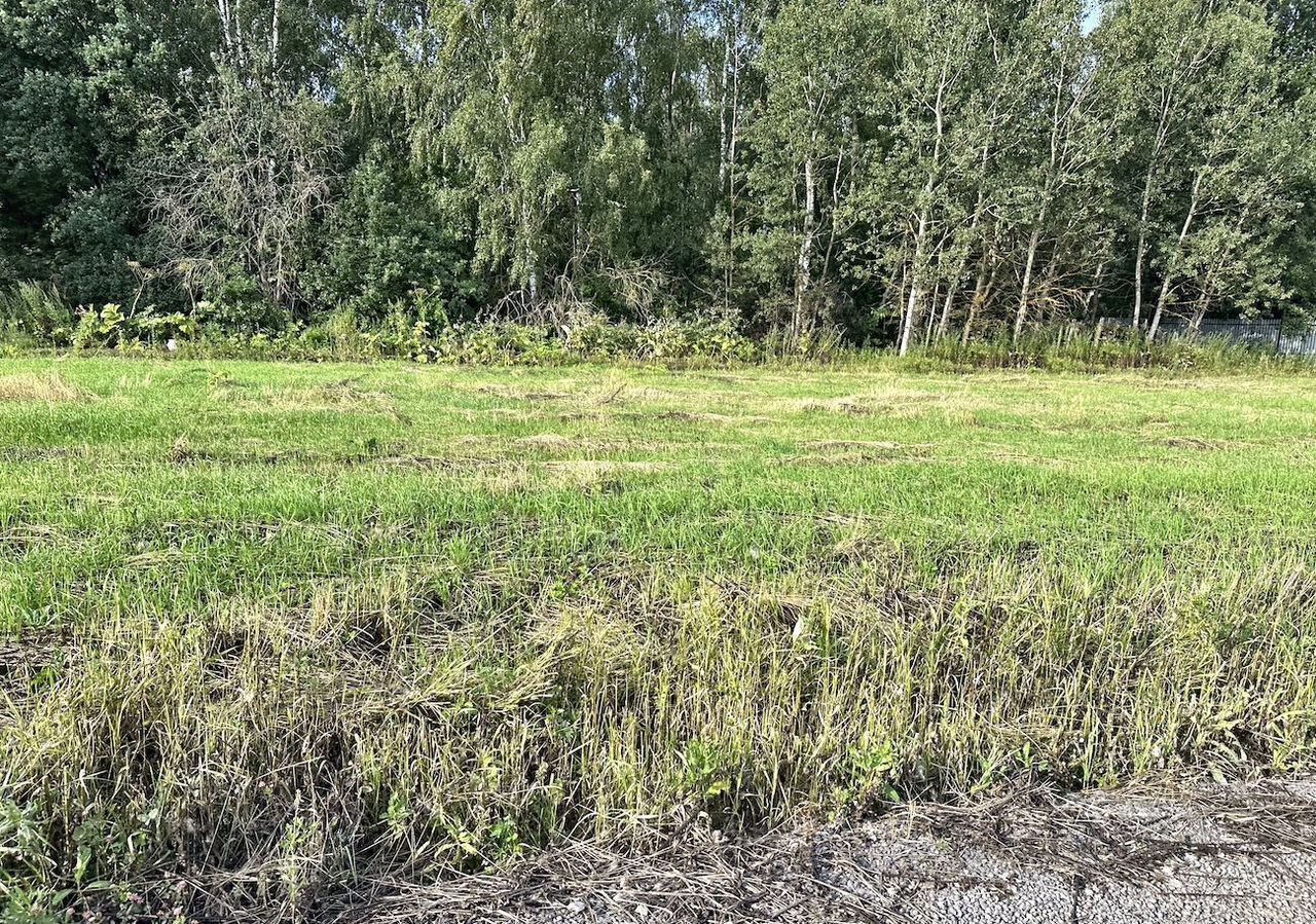 земля г Домодедово с Ильинское 42 км, городской округ Домодедово, Новокаширское шоссе фото 5